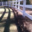 Pinestraw