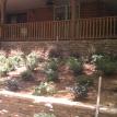 Plants installed