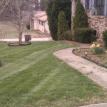 Fescue