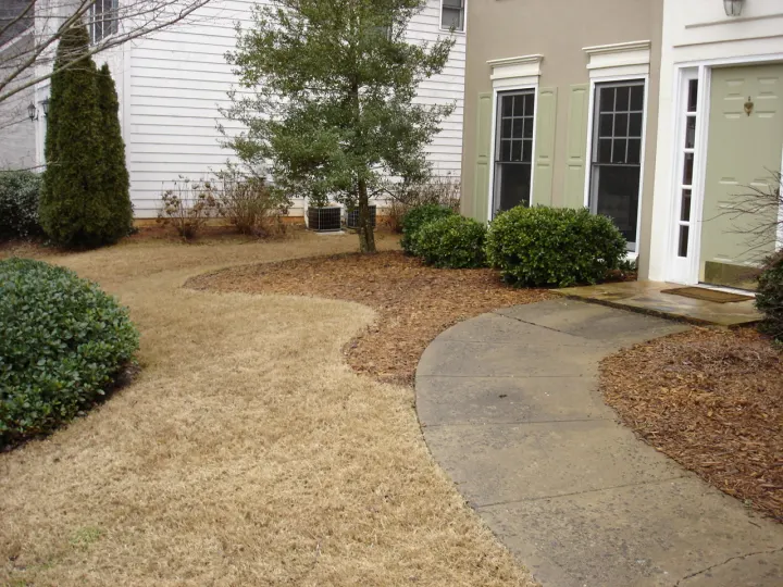 Denson Landscapes project photograph from a completed project, categorized as landscape projects.