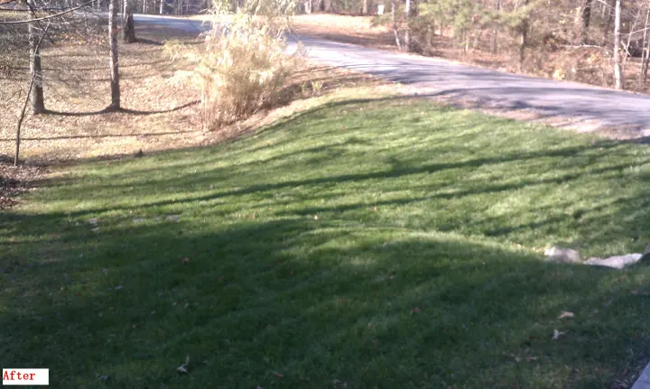 Denson Landscapes project photograph from a completed project, categorized as landscape installation.