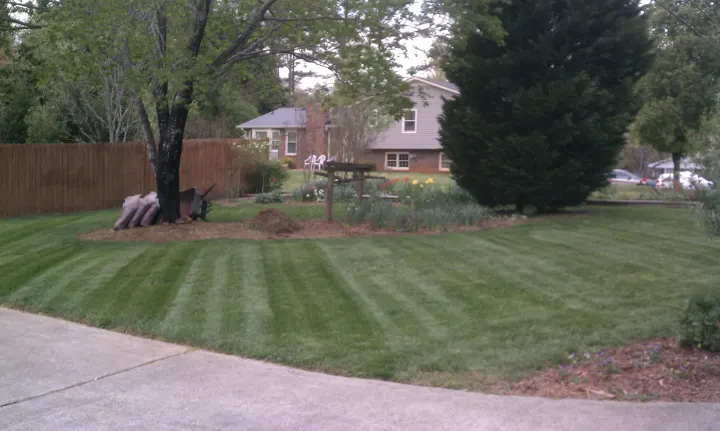 Denson Landscapes project photograph from a completed project, categorized as landscape projects.