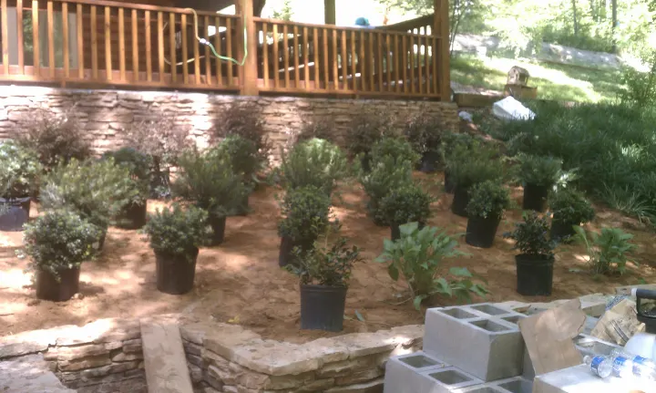 Denson Landscapes project photograph from a completed project, categorized as landscape projects.