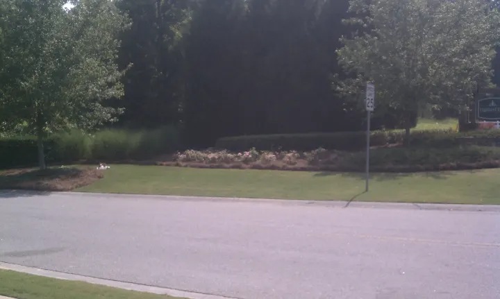 Denson Landscapes project photograph from a completed project, categorized as landscape projects.