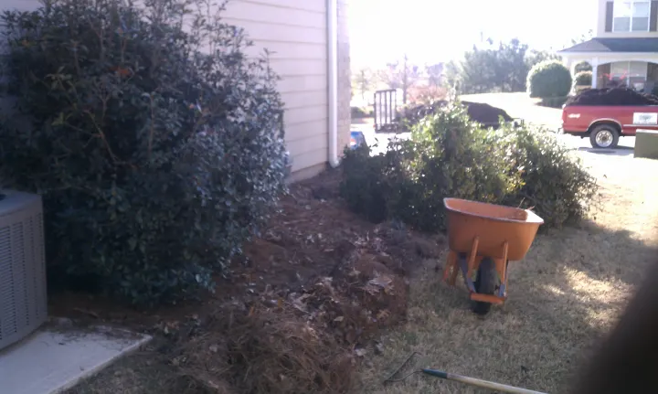 Denson Landscapes project photograph from a completed project, categorized as landscape projects.