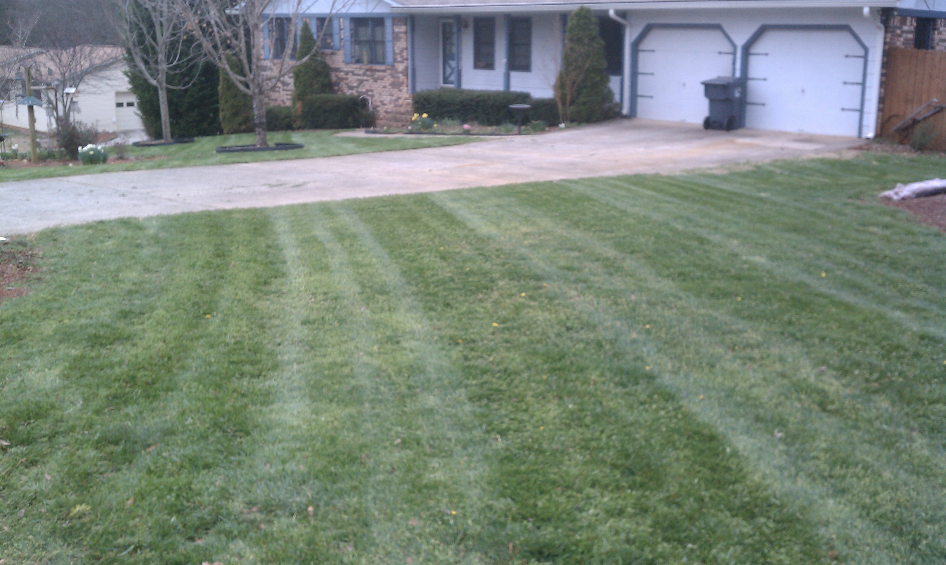 Denson Landscapes project photograph from a completed project, categorized as landscape projects.