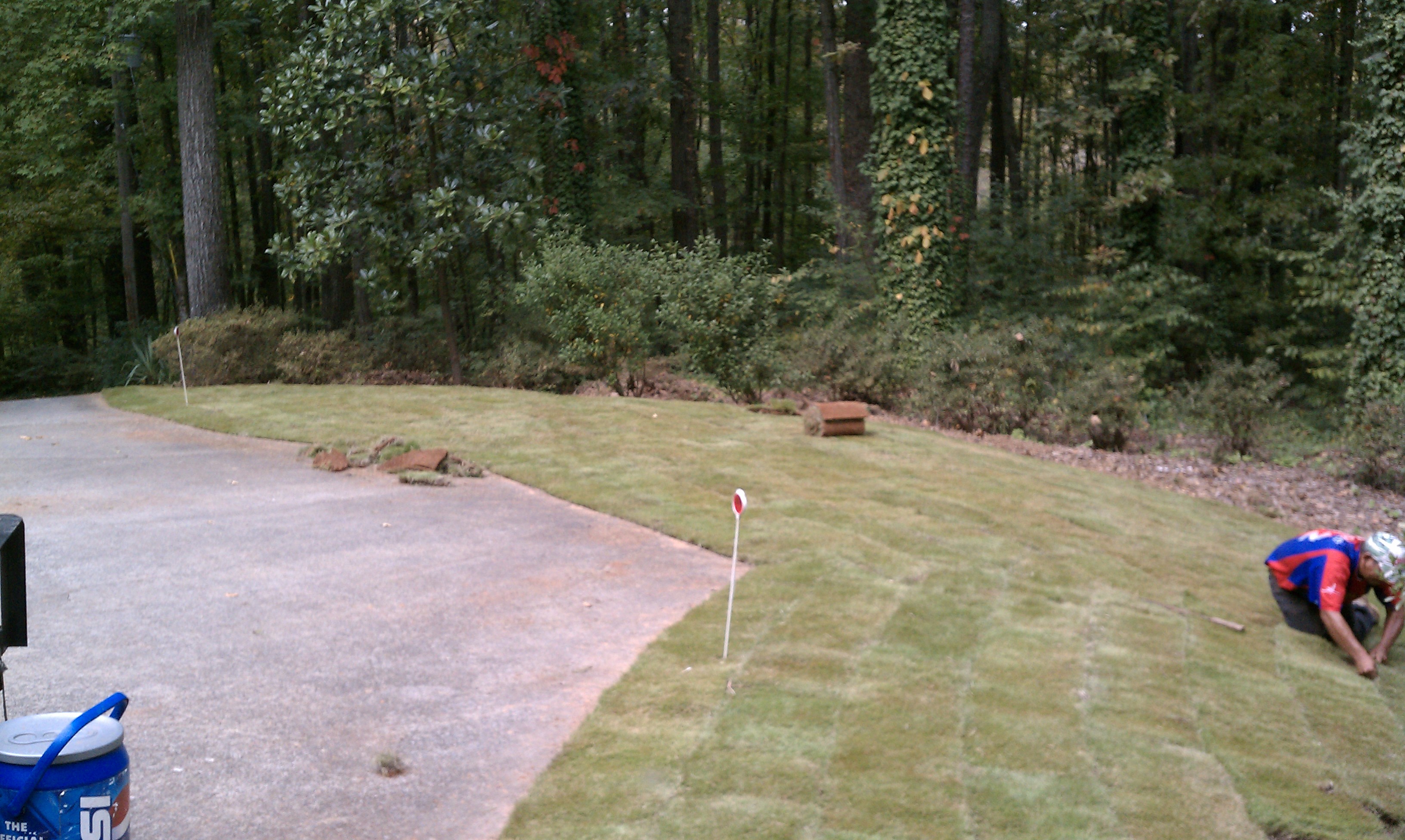 Denson Landscapes project photograph from a completed project, categorized as landscape installation.