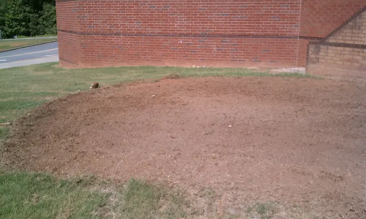 Denson Landscapes project photograph during project preparation, categorized as landscape installation.
