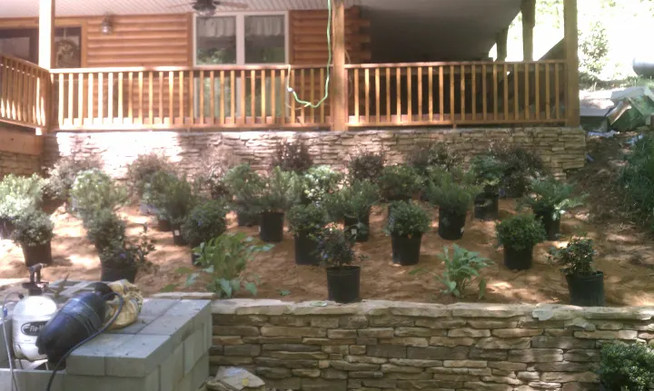 Denson Landscapes project photograph from a completed project, categorized as landscape projects.