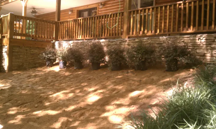 Denson Landscapes project photograph from a completed project, categorized as landscape projects.