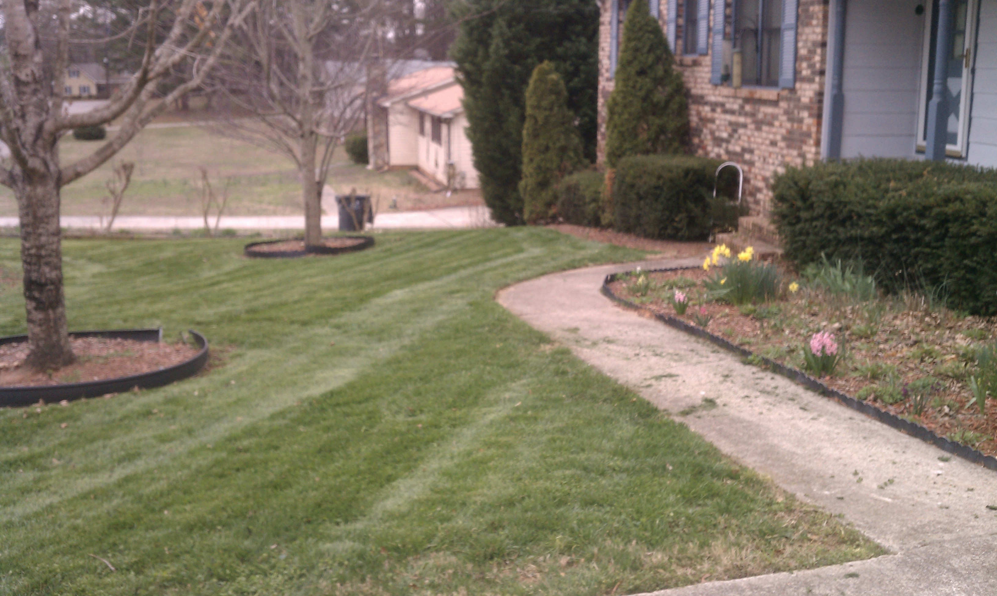 Denson Landscapes project photograph from a completed project, categorized as landscape projects.