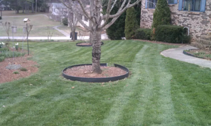 Denson Landscapes project photograph from a completed project, categorized as landscape projects.