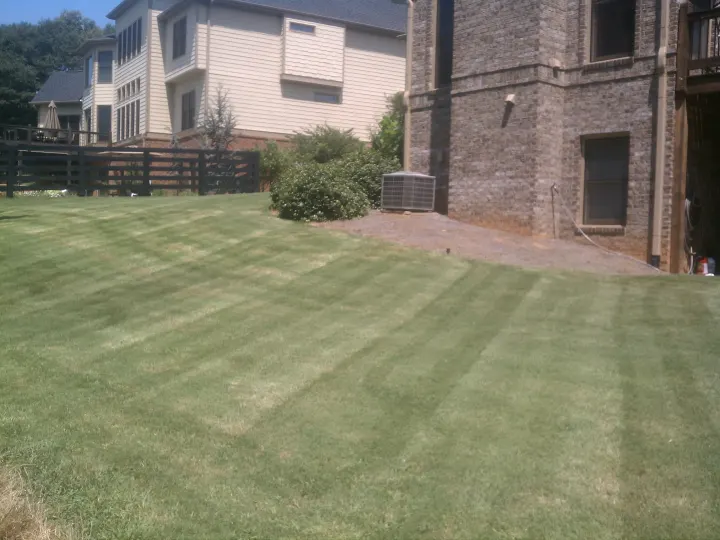 Denson Landscapes project photograph from a completed project, categorized as landscape projects.