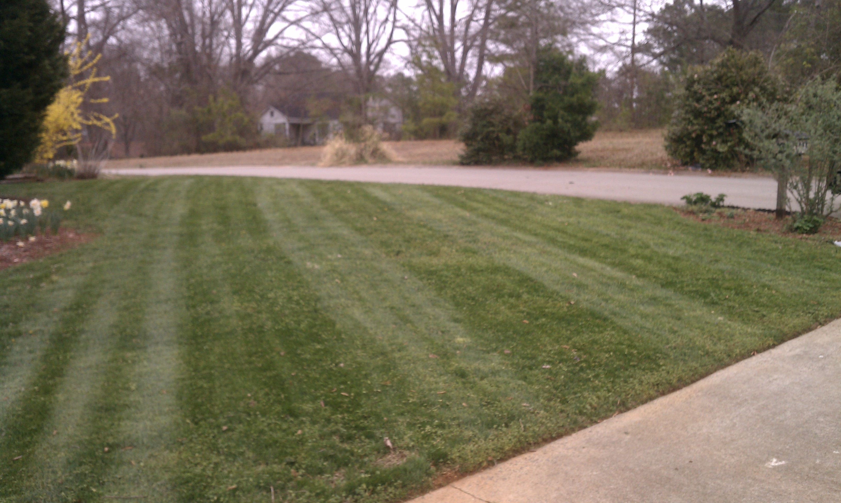 Denson Landscapes project photograph from a completed project, categorized as landscape projects.