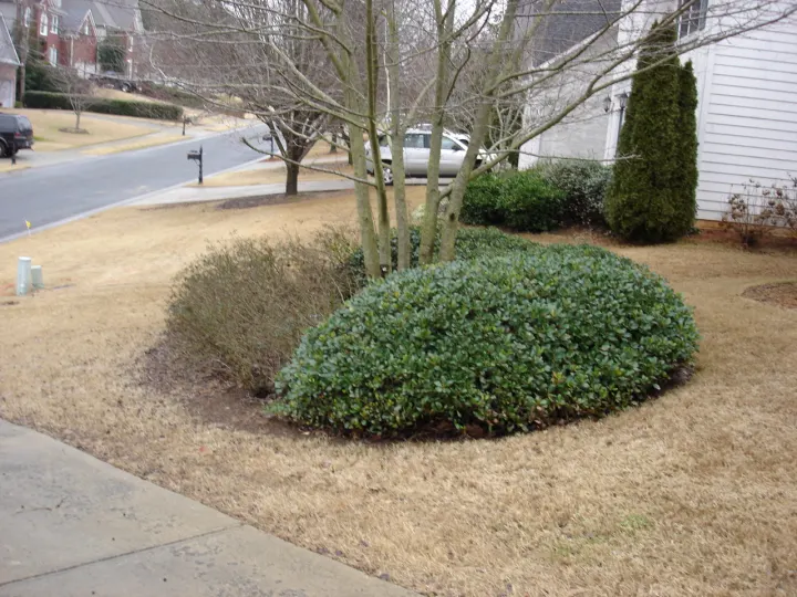 Denson Landscapes project photograph from a completed project, categorized as landscape projects.