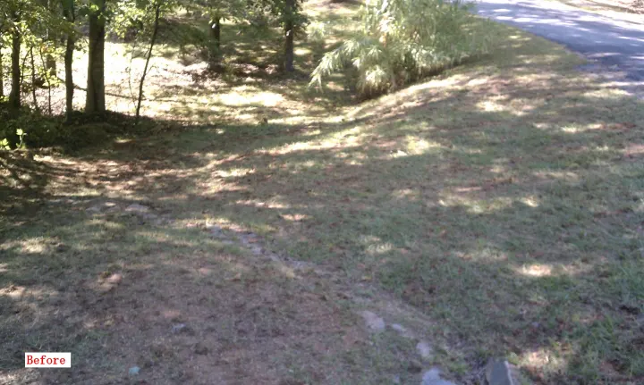 Denson Landscapes project photograph before work began, categorized as landscape installation.